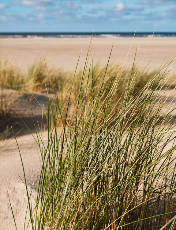 norderney-hotel-new-wave-urlaub-strand